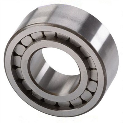 Hydraulic Pump Cylindrical Roller Bearings F-56718.NUP 40x80x23mm Roller Bearings F-56718