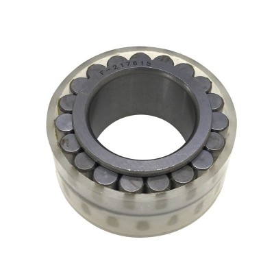 F-209285 Double Row Cylindrical Roller Bearings F-209285.NUP 48x98x34mm Hydraulic Pump Bearings